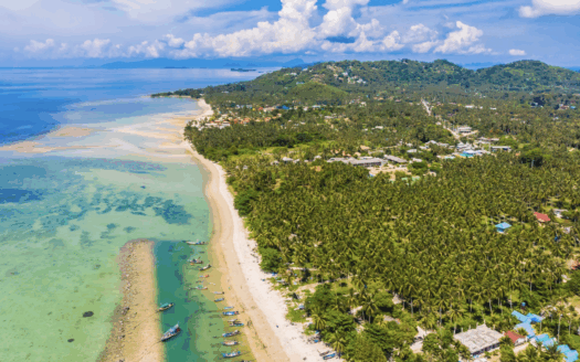 RÉSIDENCE À LA RÉUNION (974)